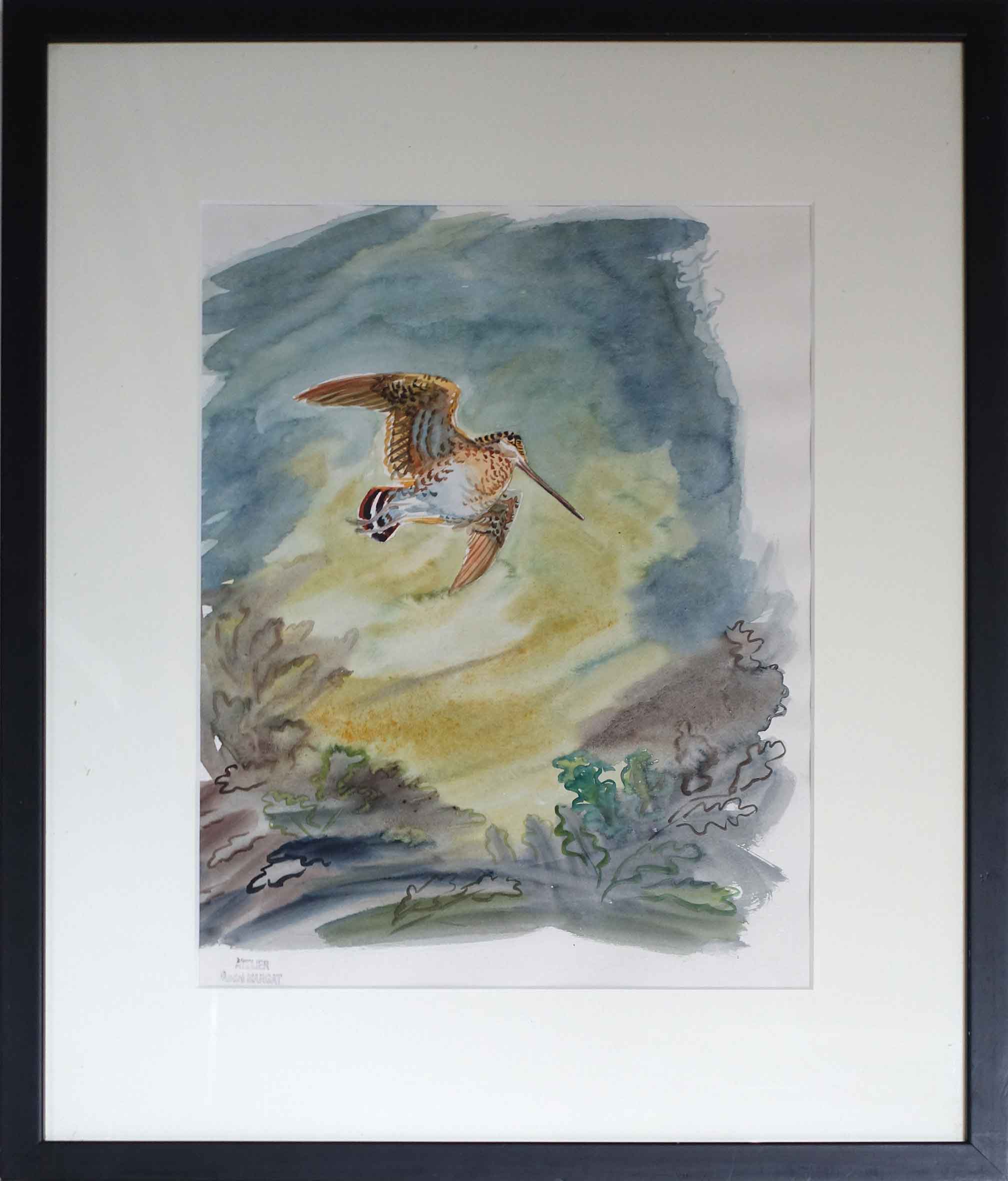 achat tableau aquarelle animal oiseau andré margat becasse