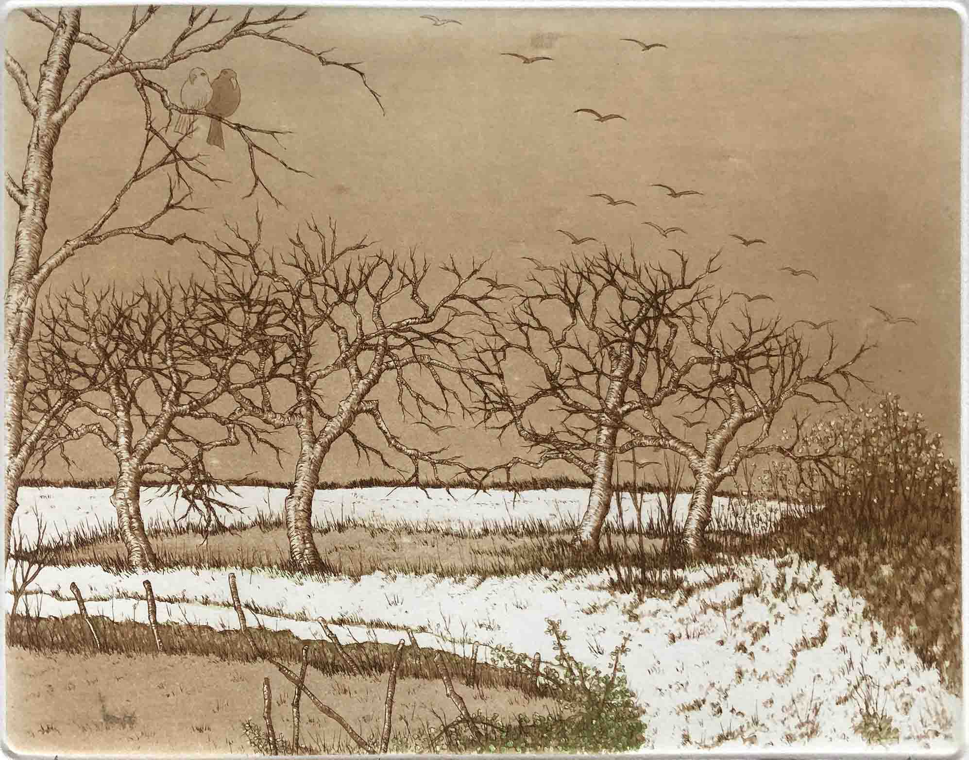 T.Ogaki. Transparences. Gravure. Achat art japonais, achat gravure