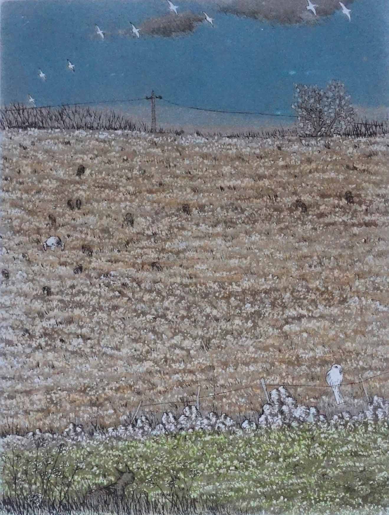 T.Ogaki. A l'affût. Gravure. Achat art japonais, achat gravure, 