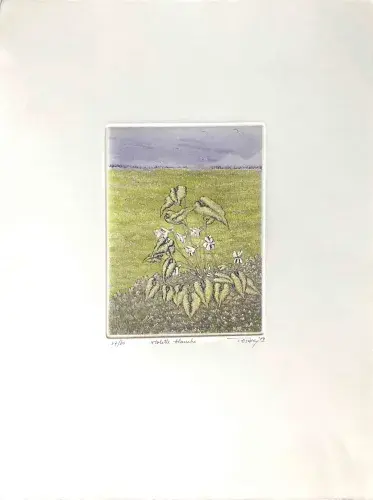 T. Ogaki. Violette blanche, gravure, achat art japonais, achat gravure