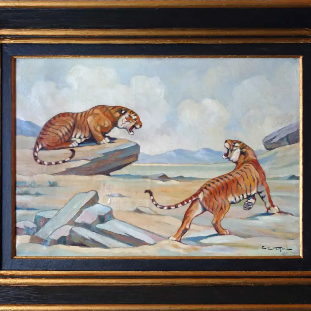 Tigres. Eveno. 