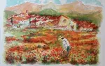 Urbain Huchet. Lithographie. Champ de fleurs en provence. Achat art, achat tableau, décoration